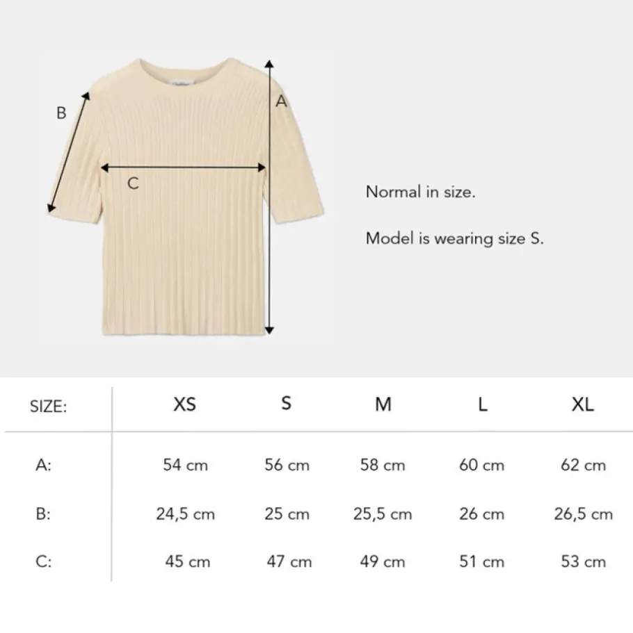 Dam Pierre Robert Finstickad T-Shirt