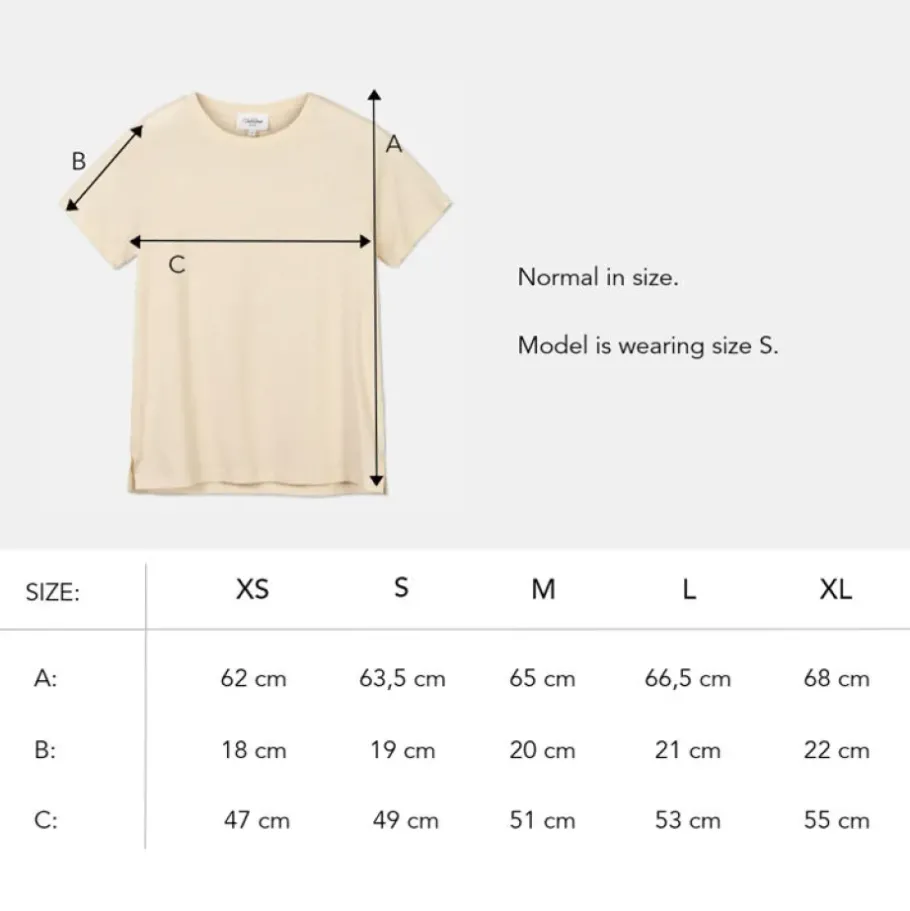 Dam Pierre Robert T-Shirt Ekologisk Bomull Och Hemp Regular Fit