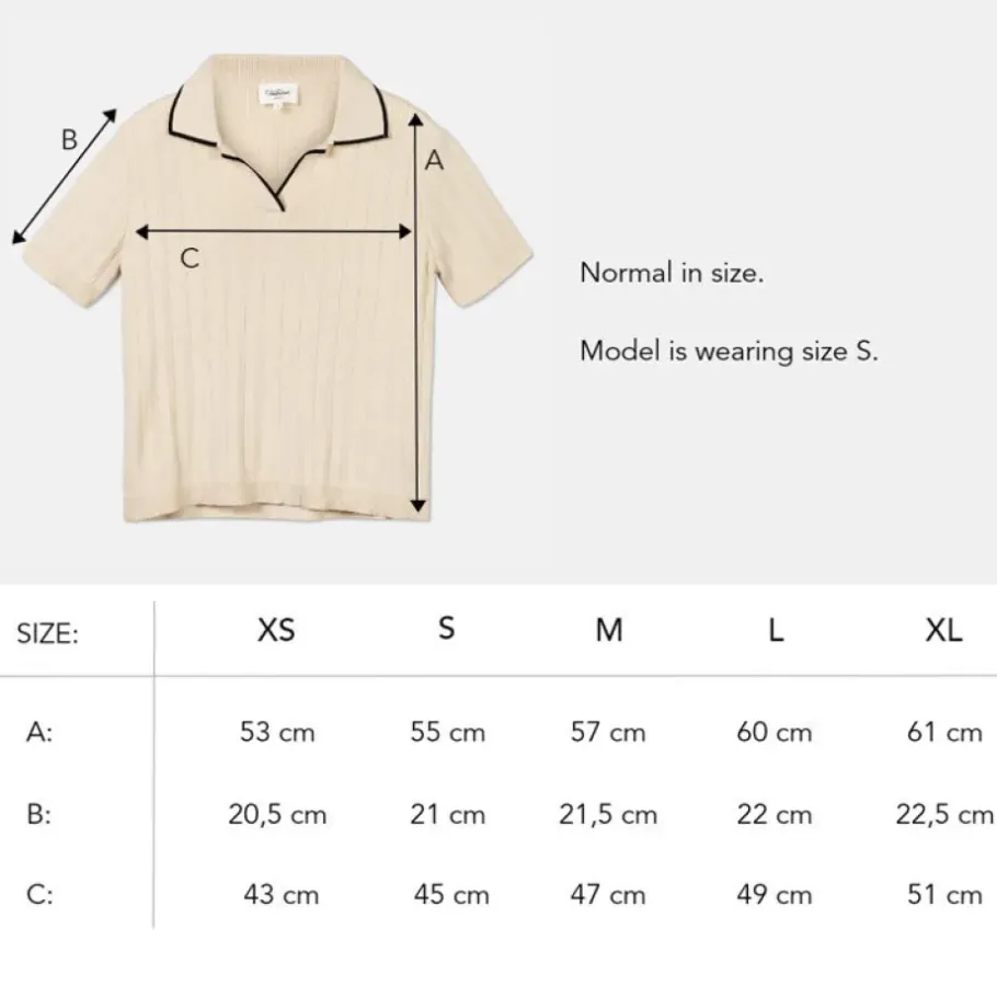 Dam Pierre Robert T-Shirt Med Pikekrage